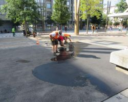 IMG_2794.JPG