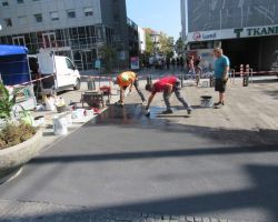 IMG_2893.JPG