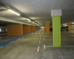 IMG_3533.JPG