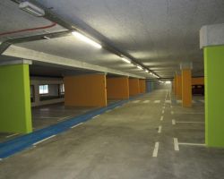 IMG_3534.JPG